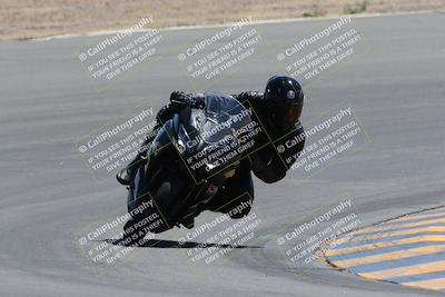 media/Apr-09-2023-SoCal Trackdays (Sun) [[333f347954]]/Turn 10 (115pm)/